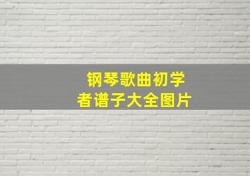 钢琴歌曲初学者谱子大全图片