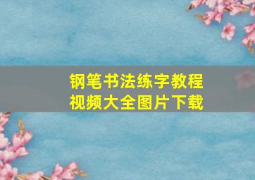 钢笔书法练字教程视频大全图片下载