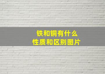 铁和铜有什么性质和区别图片