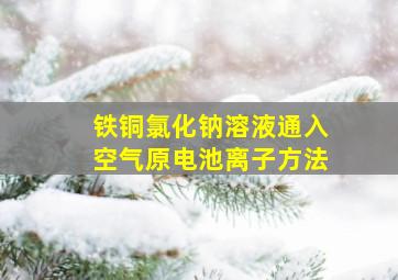 铁铜氯化钠溶液通入空气原电池离子方法