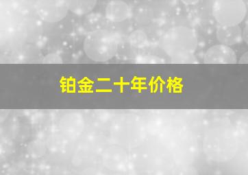 铂金二十年价格