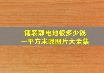 铺装静电地板多少钱一平方米呢图片大全集