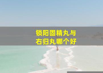 锁阳固精丸与右归丸哪个好