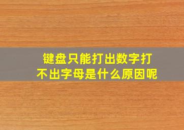 键盘只能打出数字打不出字母是什么原因呢