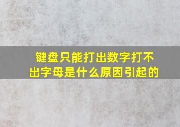 键盘只能打出数字打不出字母是什么原因引起的