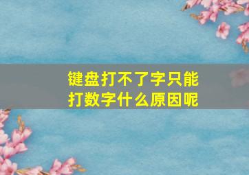 键盘打不了字只能打数字什么原因呢