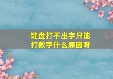 键盘打不出字只能打数字什么原因呀