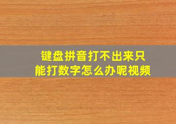 键盘拼音打不出来只能打数字怎么办呢视频