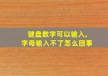 键盘数字可以输入,字母输入不了怎么回事