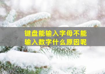 键盘能输入字母不能输入数字什么原因呢