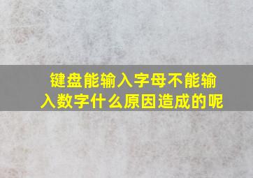 键盘能输入字母不能输入数字什么原因造成的呢