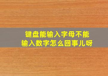 键盘能输入字母不能输入数字怎么回事儿呀