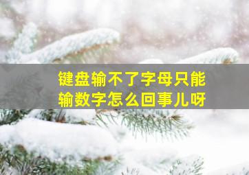 键盘输不了字母只能输数字怎么回事儿呀