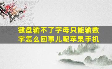 键盘输不了字母只能输数字怎么回事儿呢苹果手机