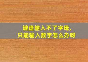 键盘输入不了字母,只能输入数字怎么办呀