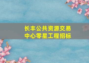 长丰公共资源交易中心零星工程招标