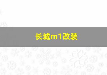 长城m1改装