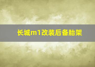 长城m1改装后备胎架