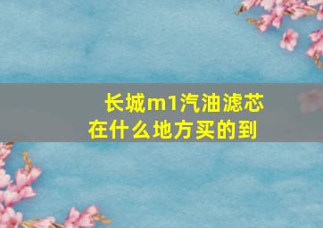 长城m1汽油滤芯在什么地方买的到