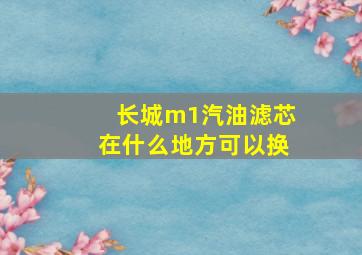 长城m1汽油滤芯在什么地方可以换