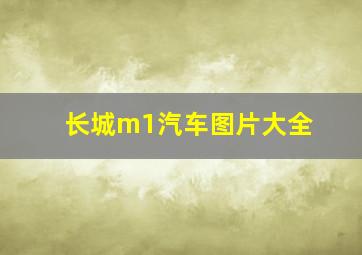 长城m1汽车图片大全