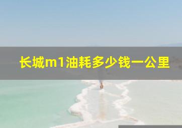 长城m1油耗多少钱一公里