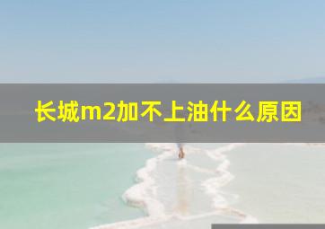 长城m2加不上油什么原因