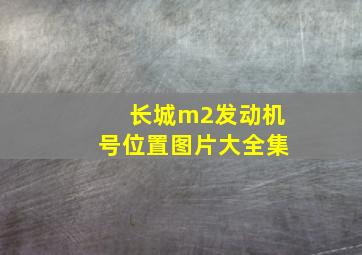 长城m2发动机号位置图片大全集