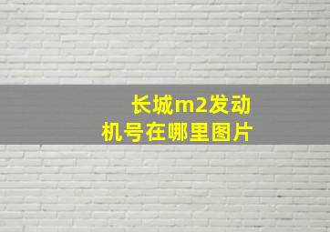 长城m2发动机号在哪里图片