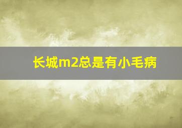 长城m2总是有小毛病