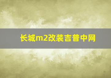 长城m2改装吉普中网