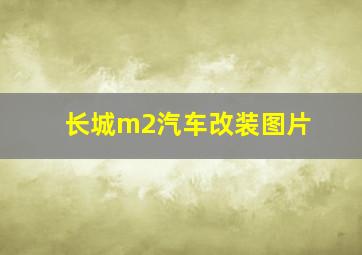 长城m2汽车改装图片