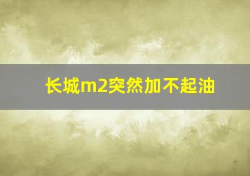 长城m2突然加不起油