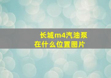 长城m4汽油泵在什么位置图片