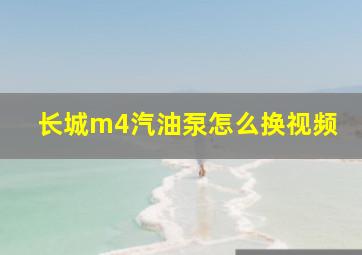 长城m4汽油泵怎么换视频