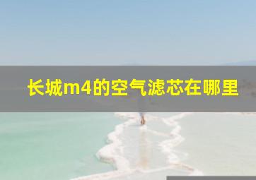 长城m4的空气滤芯在哪里