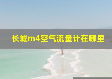 长城m4空气流量计在哪里