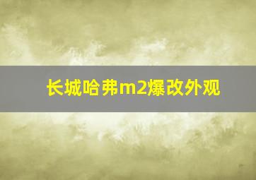 长城哈弗m2爆改外观