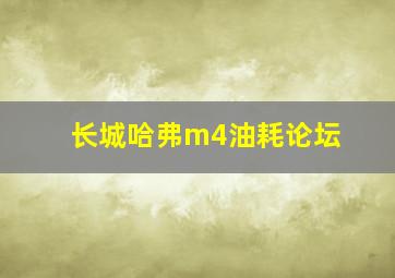 长城哈弗m4油耗论坛