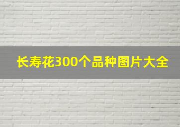 长寿花300个品种图片大全