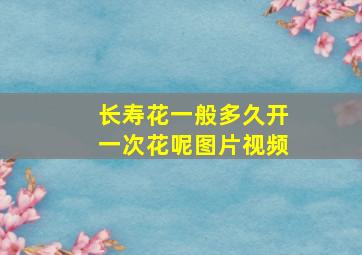 长寿花一般多久开一次花呢图片视频