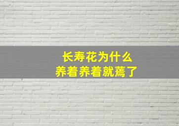 长寿花为什么养着养着就蔫了