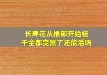 长寿花从根部开始枝干全都变黑了还能活吗