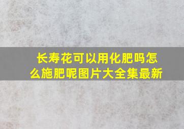 长寿花可以用化肥吗怎么施肥呢图片大全集最新