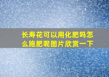 长寿花可以用化肥吗怎么施肥呢图片欣赏一下