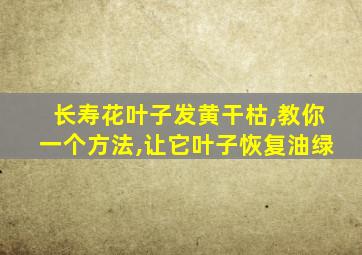 长寿花叶子发黄干枯,教你一个方法,让它叶子恢复油绿