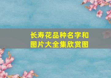 长寿花品种名字和图片大全集欣赏图