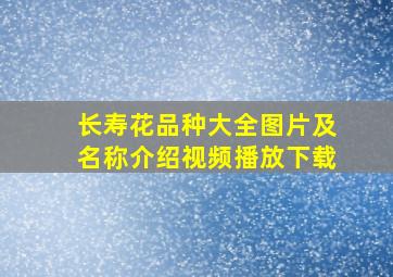 长寿花品种大全图片及名称介绍视频播放下载