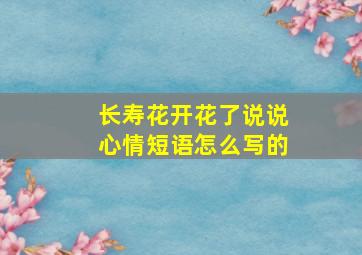 长寿花开花了说说心情短语怎么写的