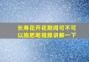 长寿花开花期间可不可以施肥呢视频讲解一下